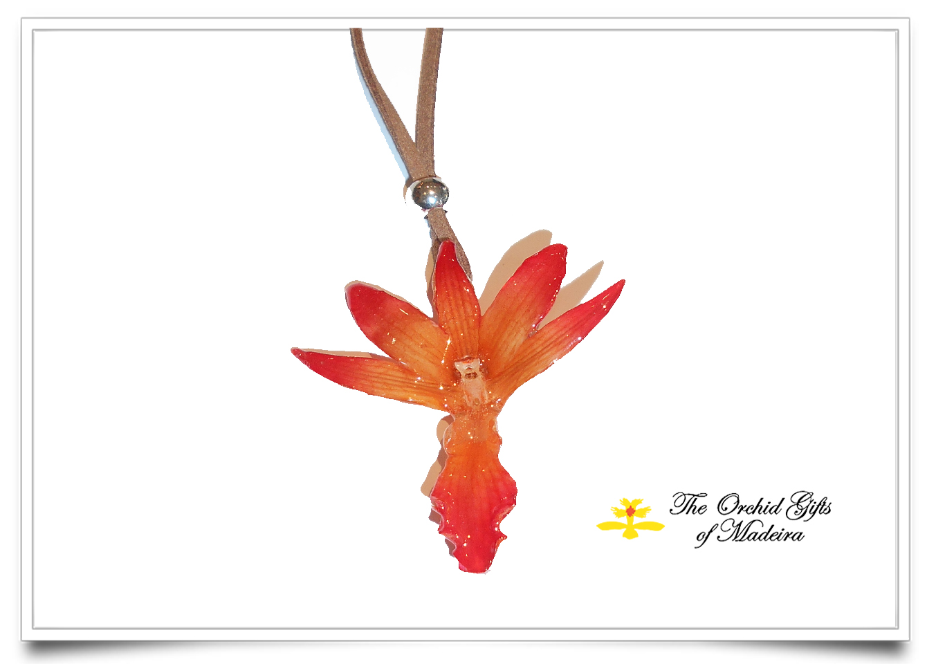Dendrobium Draconic - Pendant - The Orchid Gifts of Madeira
