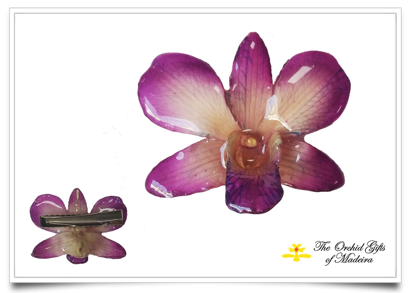 Silk Double Orchid Hair Clip | HulaFlowers.com